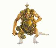 fimir